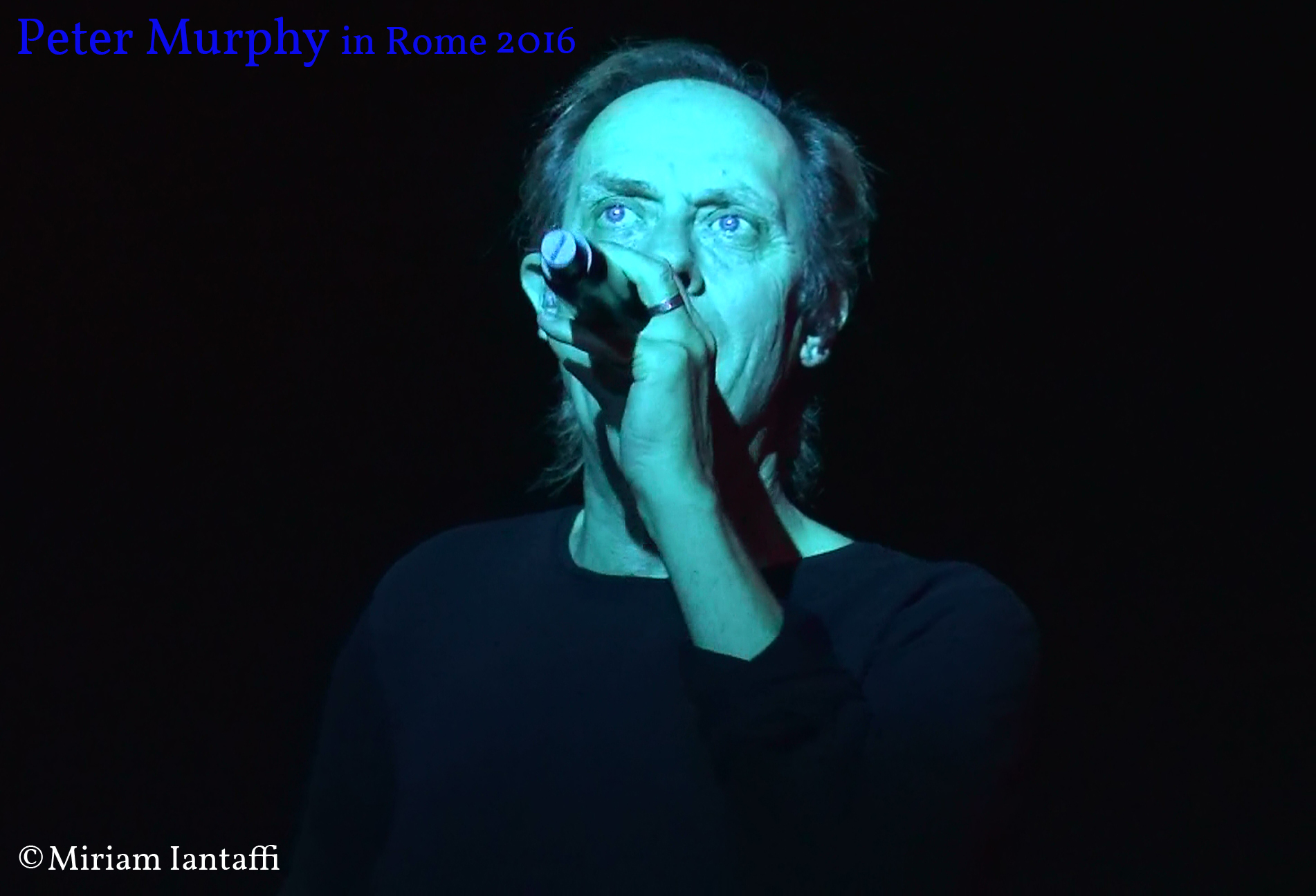 PeterMurphyMicrofono